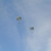 1st Operation Toy Drop 107